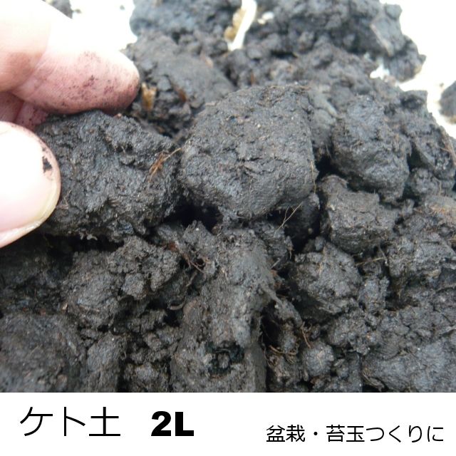 苔玉 石付づくりに ケト土 小袋 約2l 基本用土 園芸用土 たまごや商店 苔玉 石付づくりに ケト土 小袋 約2l 基本用土 園芸用土 たまごや商店
