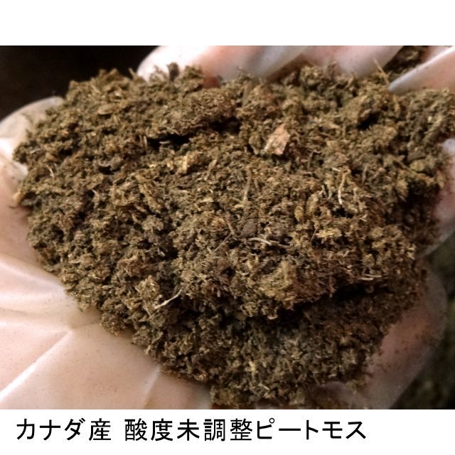 カナダ産 酸度無調整ピートモス 14l袋入り ブルーベリーに最適 長繊維 荒目 Coarse Grade ピートモス 土壌改良資材 たまごや商店