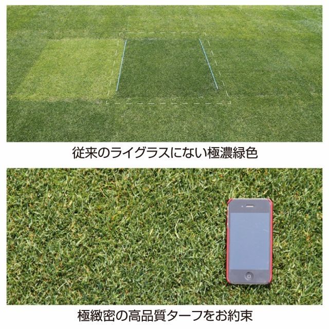 西洋芝種子 ペレニアルライグラス Pnw 22 5kg スポーツターフ用 西洋芝 寒地型 ペレニアルライグラス タネ 西洋芝 緑化用 たまごや商店