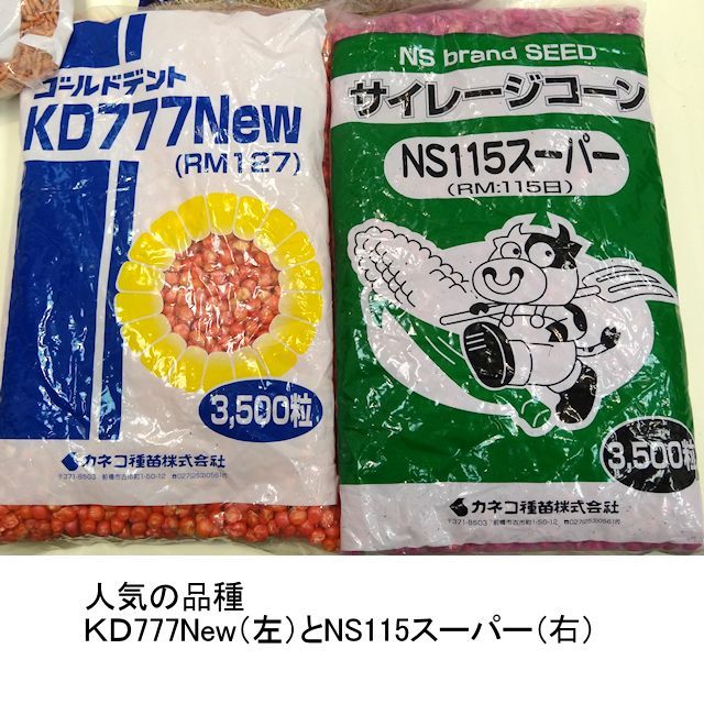 牧草種子 サイレージコーン 飼料用トウモロコシ 中早生種 Ns115スーパー Rm115 3500粒 約500平方ｍ分 ワンホープok カネコ種苗製 たまごや商店