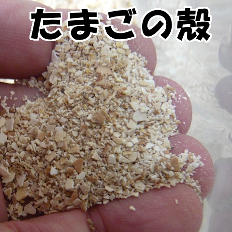 たまごのめぐみ 卵殻 たまごのから 100 有機石灰質肥料 kg 有機jas適合資材 有機石灰 カルシウム補給資材 たまごや商店