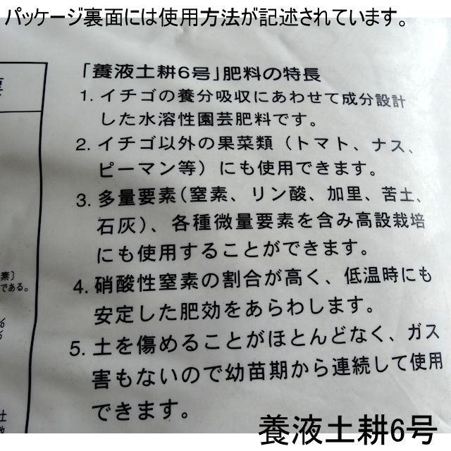 イチゴ向き 養液土耕6号 Oatアグリオ 養液土耕専用肥料 複合14 12 10kg 養液土耕専用肥料 化成肥料 たまごや商店