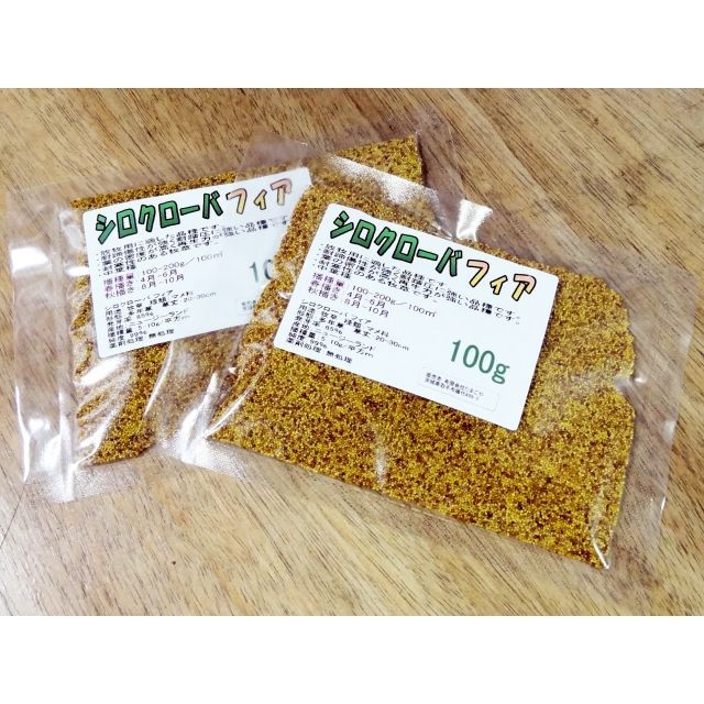 牧草種子】シロクローバ （フィア）-家庭園芸・実験栽培用【100g】【送料無料】【時間指定不可】 ｜たまごや商店