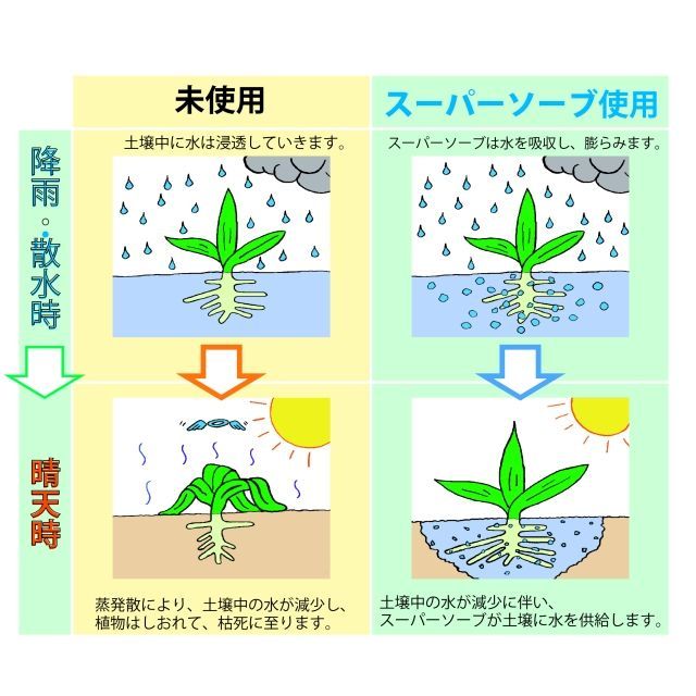 スーパーソーブ C Supersorb C 粗粒 1 2mm 透水材 保水材 土壌改良資材 たまごや商店