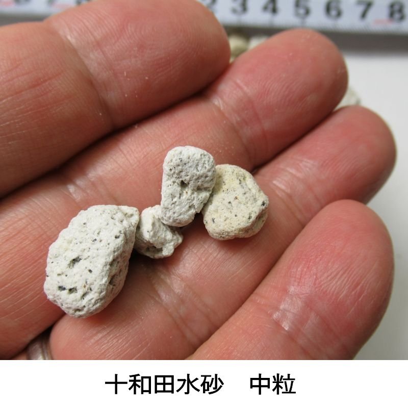十和田水砂 とわだみずすな 15l 園芸用土に最適な十和田湖の軽石 有機jas適合 軽石 ボラ土 園芸用土 たまごや商店 十和田水砂 とわだみずすな 15l 園芸用土に最適な十和田湖の軽石 有機jas適合 軽石 ボラ土 園芸用土 たまごや商店