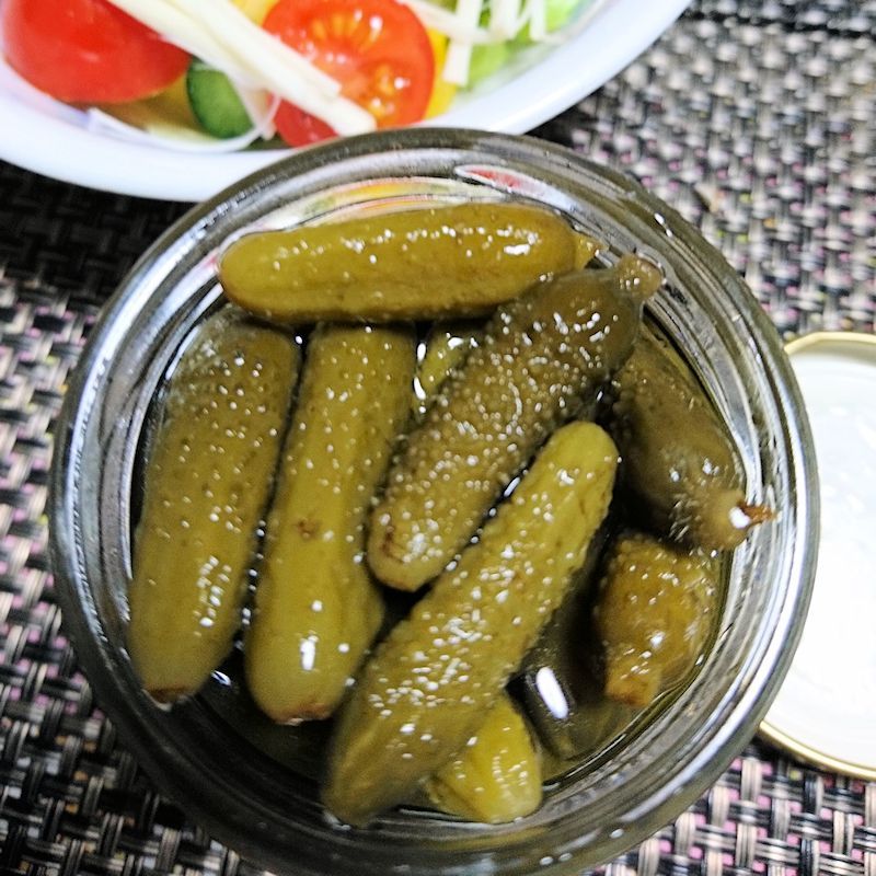 有機種子 ミニキュウリ ピクルス ガーキン 50ml Mini Cucumber Gherkin 果菜の有機種子 タネ Gfpサステイナビリティ基準有機種子 たまごや商店