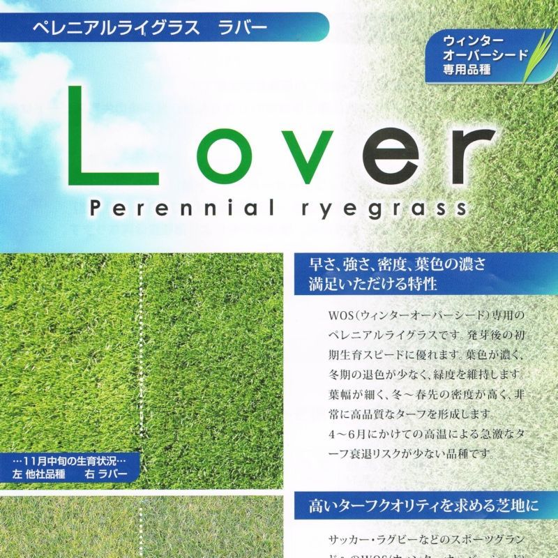 芝の種 西洋芝ペレニアルライグラス ラバー 1kg 芝生 園芸ネット 本店 通販 園芸ネット芝の種 西洋芝クリーピングベントグラス ナイトライフ 1kg Tecnomallas Com Ar