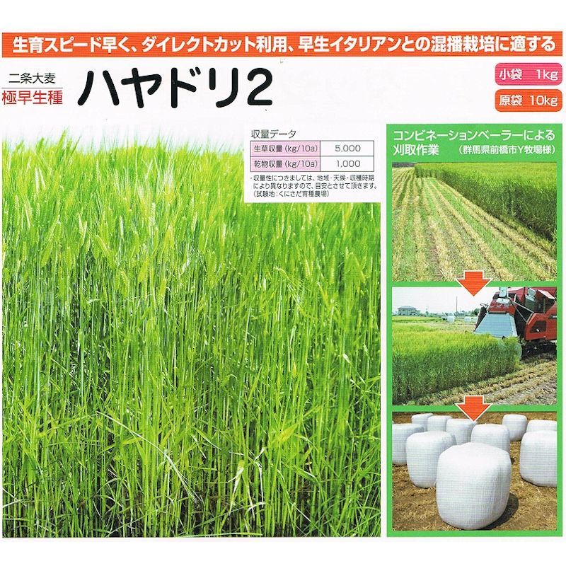 21年8月15日以降の出荷 二条大麦 ハヤドリ2 極早生種 1kg カネコ種苗製 その他の飼料作物 タネ 飼料 牧草用 たまごや商店 21年8月15日以降の出荷 二条大麦 ハヤドリ2 極早生種 1kg カネコ種苗製 その他の飼料作物 タネ 飼料 牧草用 たまごや商店