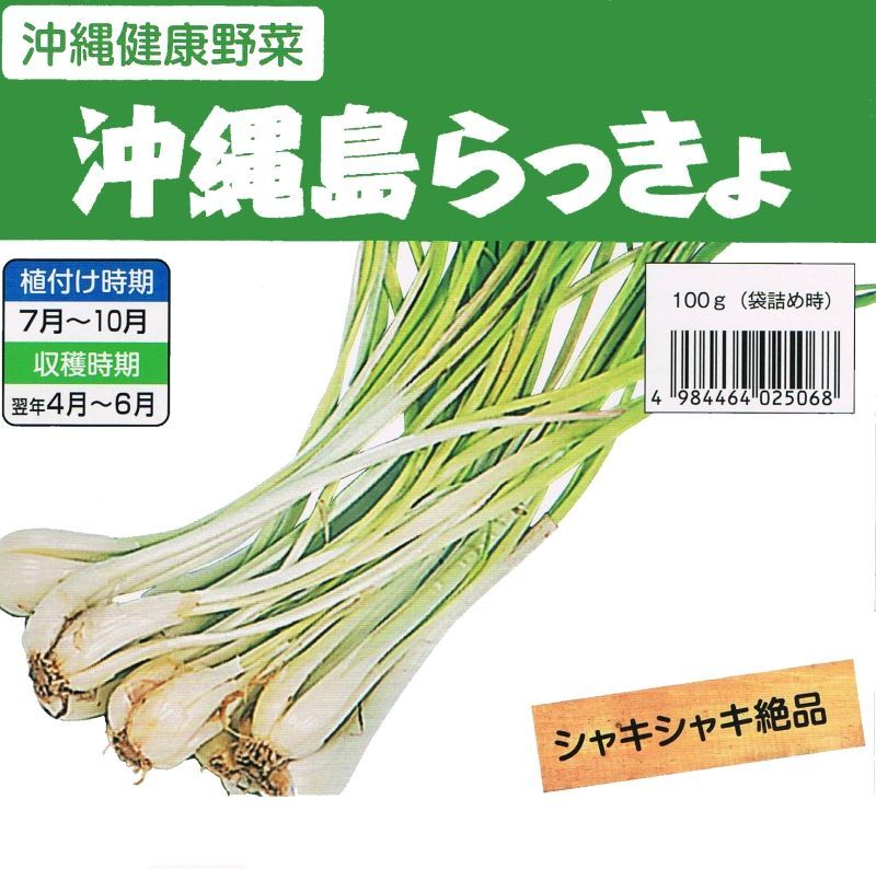 予約受付中 お届けは7月下旬から 沖縄産 沖縄 島らっきょ 100g 沖縄健康野菜 栽培用種球 単独注文でお願いします 野菜の苗 種球 苗 球根 種イモ類 たまごや商店