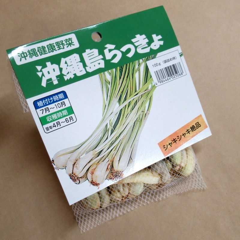 完売 次回は23年2月より予約開始します 沖縄産 沖縄 島らっきょ 100g 沖縄健康野菜 栽培用種球 野菜の苗 種球 苗 球根 種イモ類 たまごや商店