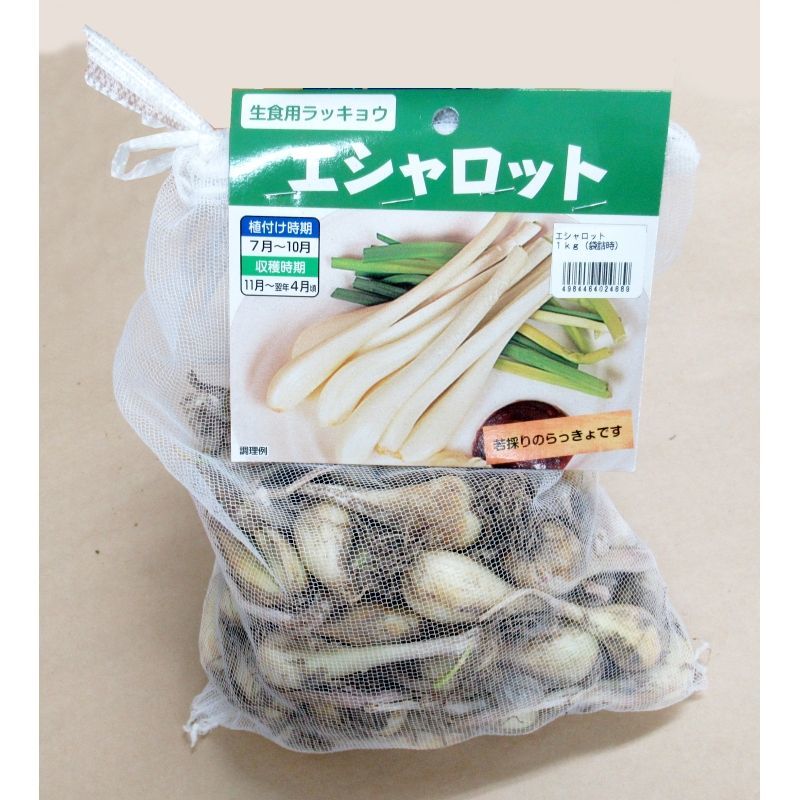 完売 次回は23年3月より予約開始します 鹿児島産 種球 エシャロット 生食用ラッキョウ 100g 健康野菜 栽培 用種球 野菜の苗 種球 苗 球根 種イモ類 たまごや商店