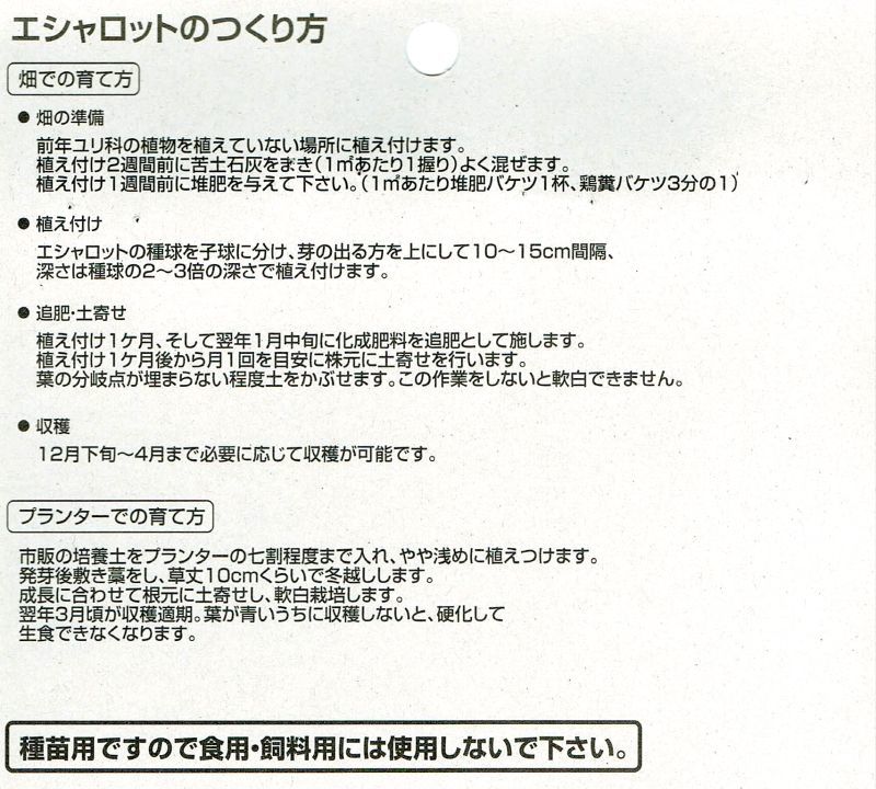 予約受付中 お届けは7月下旬から 鹿児島産 種球 エシャロット 生食用ラッキョウ 100g 健康野菜 栽培 用種球 単独注文でお願いします 野菜の苗 種球 苗 球根 種イモ類 たまごや商店