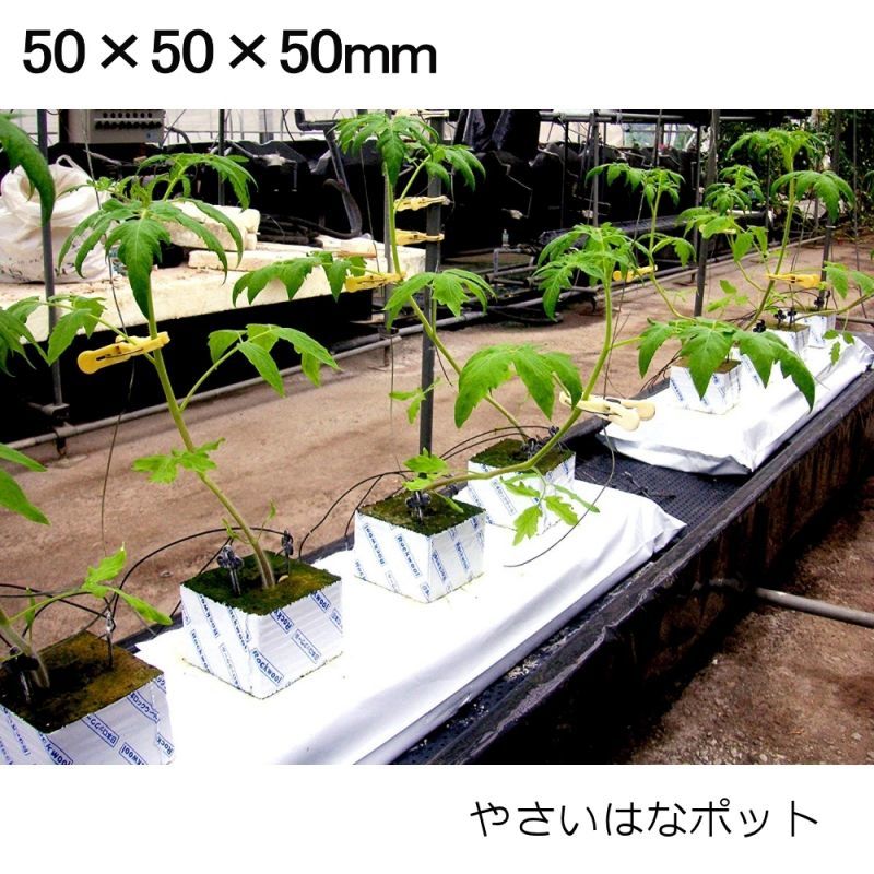 穴なし やさいはなポット 50ｘ50ｘ50mm 1296入り 日本ロックウール 陸送地域のみ 納期7日 日祭日の配送および時間指定不可 水耕栽培 植物工場培地 園芸用土 たまごや商店