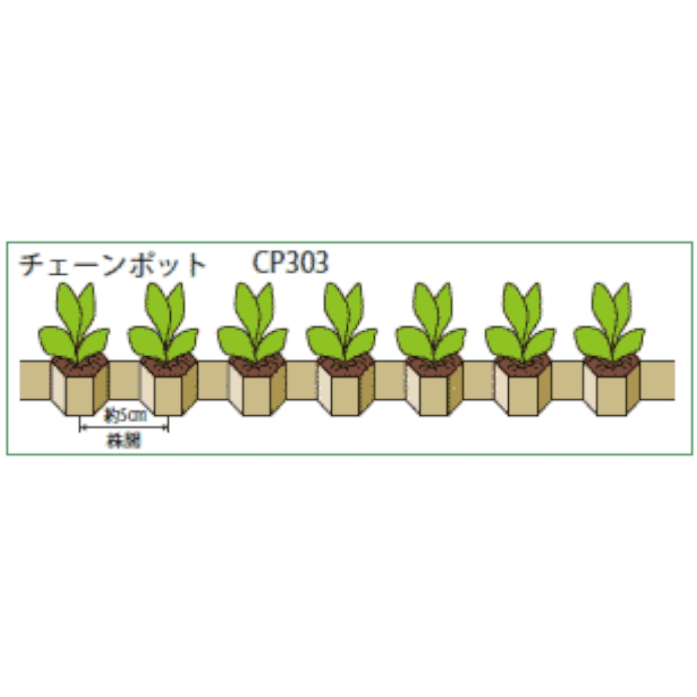 殿堂 ニッテン チェーンポット CP253 2.5×3 364穴 日本甜菜製糖 育苗 農業