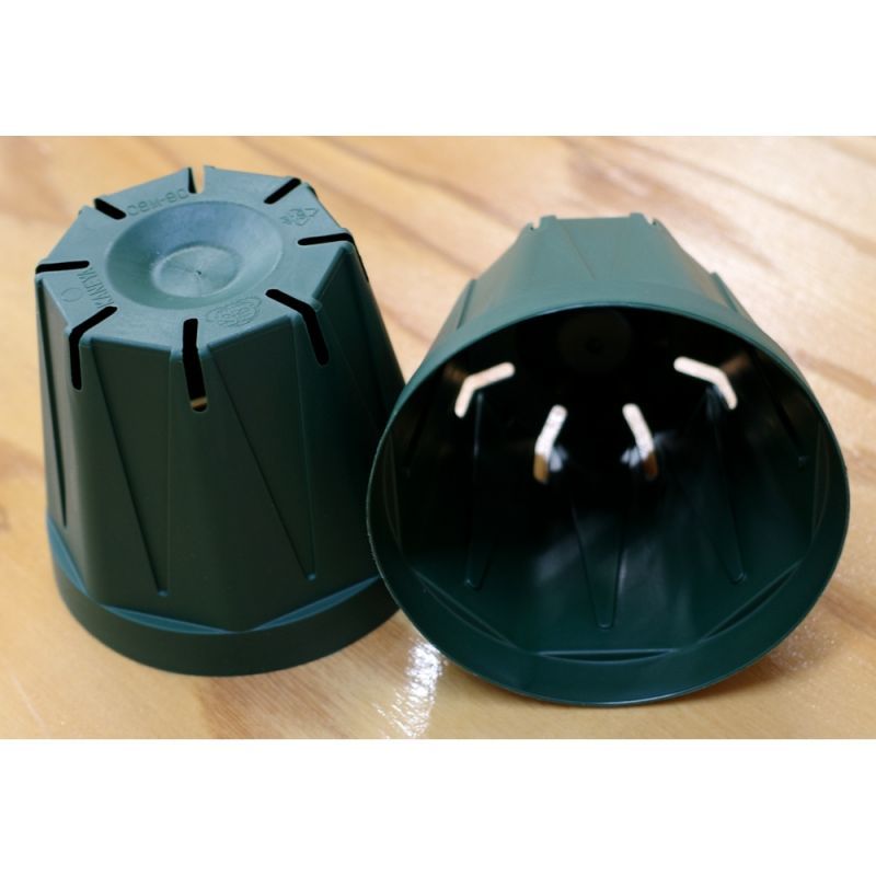 注目のブランド スリット鉢 ＥＵＰＯＴ ９ｃｍ モスグリーン １０個入り