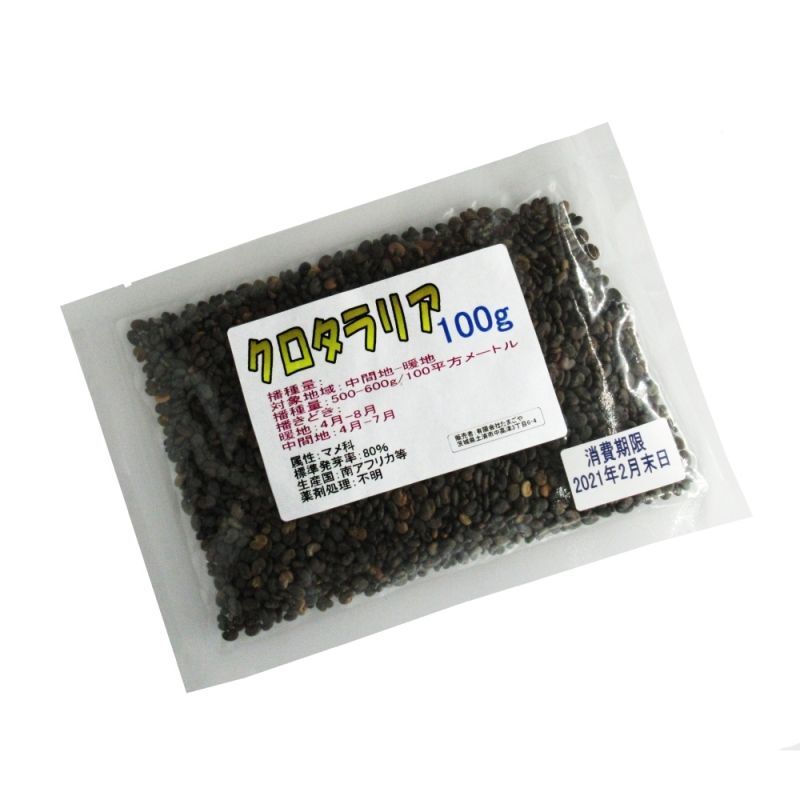 クロタラリア｜家庭園芸・実験栽培用｜タヌキマメ【100g】【送料無料】【時間指定不可】