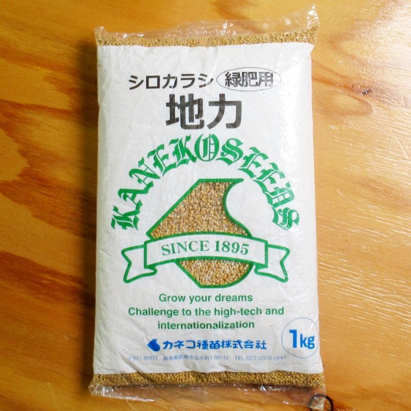 緑肥用】シロカラシ《地力》｜景観形成【1kg】カネコ種苗｜秋まき緑肥｜【タネ】景観用・緑肥用｜たまごや商店