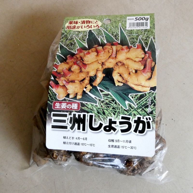 完売 次回は22年1月より予約開始します 三州ショウガ タネしょうが 小生姜 500g 千葉県産種生姜 野菜の苗 種球 苗 球根 種 イモ類 たまごや商店 完売 次回は22年1月より予約開始します 三州ショウガ タネしょうが 小生姜 500g 千葉県産種生姜 野菜の苗 種球 苗 球根 種 イモ類 たまごや商店
