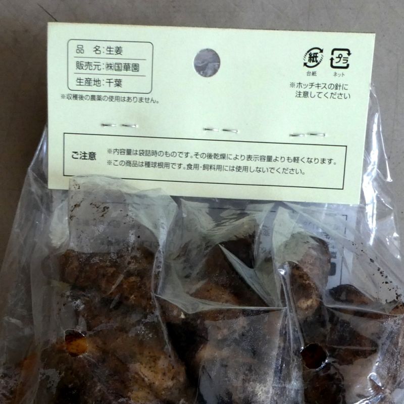 完売 次回は22年1月より予約開始します 三州ショウガ タネしょうが 小生姜 500g 千葉県産種生姜 野菜の苗 種球 苗 球根 種 イモ類 たまごや商店 完売 次回は22年1月より予約開始します 三州ショウガ タネしょうが 小生姜 500g 千葉県産種生姜 野菜の苗 種球 苗 球根 種 イモ類 たまごや商店