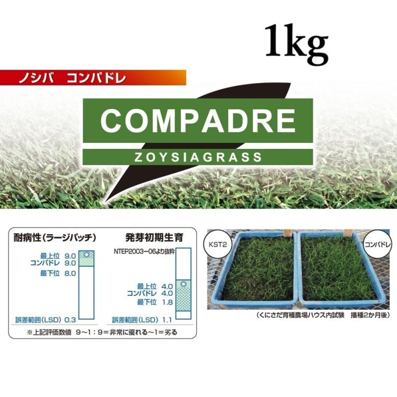 暖地型芝草 野芝 ノシバ コンパドレ 1kg 発芽促進処理済種子 カネコ種苗製 暖地型芝草 タネ 西洋芝 緑化用 たまごや商店 暖地型芝草 野芝 ノシバ コンパドレ 1kg 発芽促進処理済種子 カネコ種苗製 暖地型芝草 タネ 西洋芝 緑化用 たまごや商店