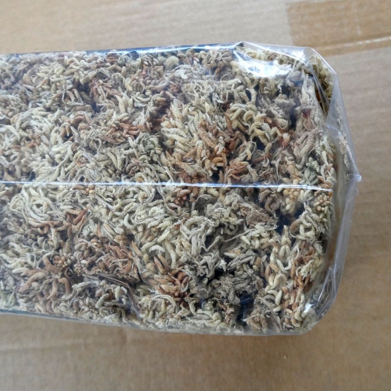 品薄 ニュージーランド産ミズゴケaa級 150g 12l Spagmoss プレミアム水苔 ミズゴケ 土壌改良資材 たまごや商店