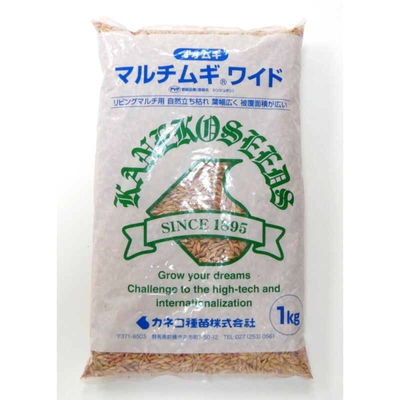 【緑肥用種子】オオムギ マルチムギワイド｜シンジュボシ【1kg】リビングマルチ用 六条大麦｜PVP登録品種｜カネコ種苗製