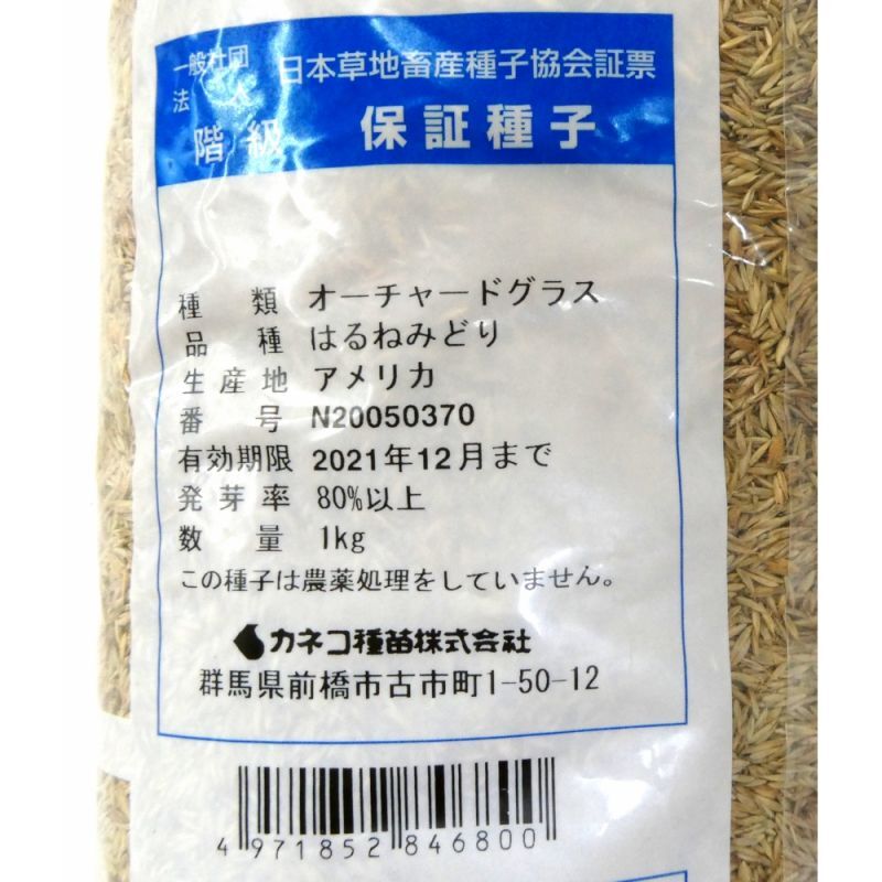 牧草種子 オーチャードグラス はるねみどり 早生種 1kg 越冬性あり早春草 勢優れる嗜好性の高い人気の多年生牧草 Pvp登録品種 カネコ種苗製 オーチャードグラス タネ 飼料 牧草用 たまごや商店