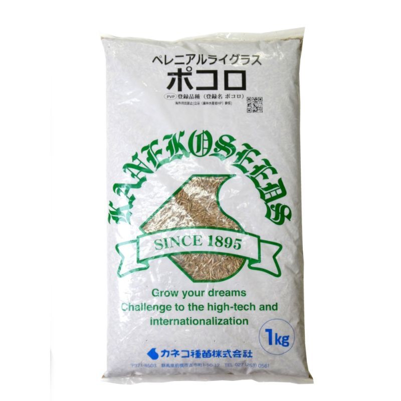 【牧草種子】ペレニアルライグラス｜ポコロ｜４倍体晩生種【1kg】｜カネコ種苗製