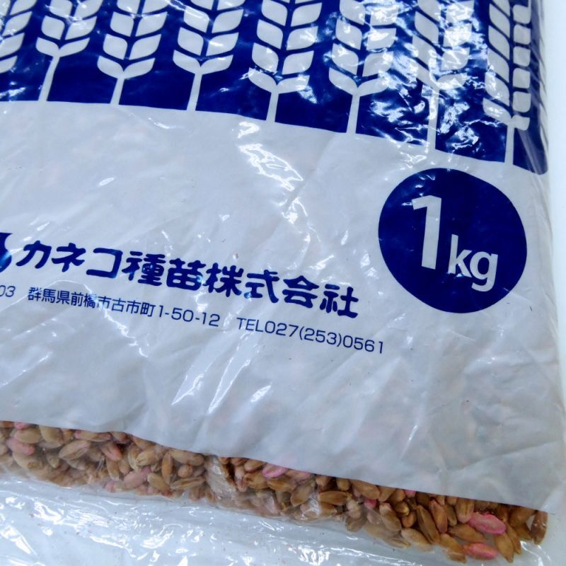 新発売]【牧草種子】ライコムギ｜ライダックスE【1kg】カネコ種苗製｜ライ麦｜【タネ】飼料・牧草用｜たまごや商店