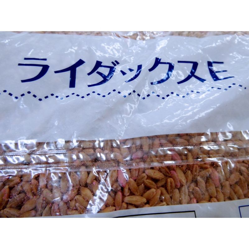 新発売]【牧草種子】ライコムギ｜ライダックスE【1kg】カネコ種苗製｜ライ麦｜【タネ】飼料・牧草用｜たまごや商店