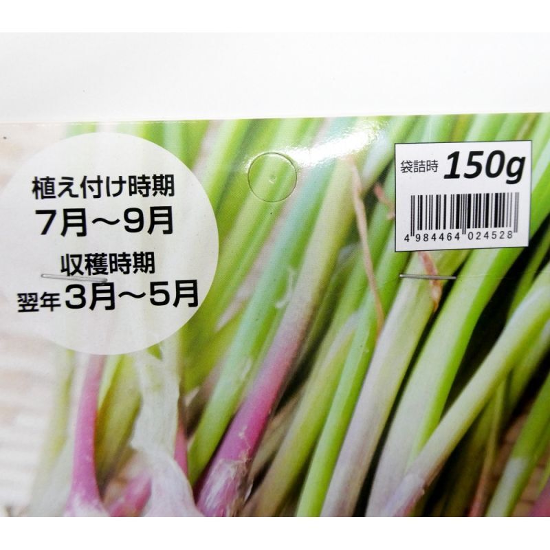 値下げ 群馬 新潟産 アサツキ 150g 健康野菜 栽培用種球 いくつでも全国一律送料530円 野菜の苗 種球 苗 球根 種イモ類 たまごや商店 値下げ 群馬 新潟産 アサツキ 150g 健康野菜 栽培用種球 いくつでも全国一律送料530円 野菜の苗 種球 苗 球根 種イモ類 たまごや商店