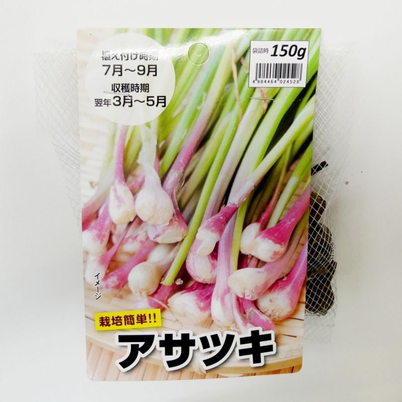 値下げ 群馬 新潟産 アサツキ 150g 健康野菜 栽培用種球 いくつでも全国一律送料530円 野菜の苗 種球 苗 球根 種イモ類 たまごや商店 値下げ 群馬 新潟産 アサツキ 150g 健康野菜 栽培用種球 いくつでも全国一律送料530円 野菜の苗 種球 苗 球根 種イモ類 たまごや商店
