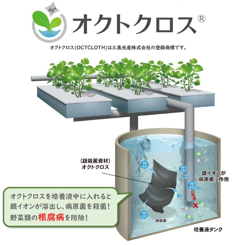 オクトクロス（1枚入り）銀の微細な粒子を繊維表面にめっきした世界初の銀農薬