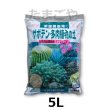 サボテン・多肉植物の土