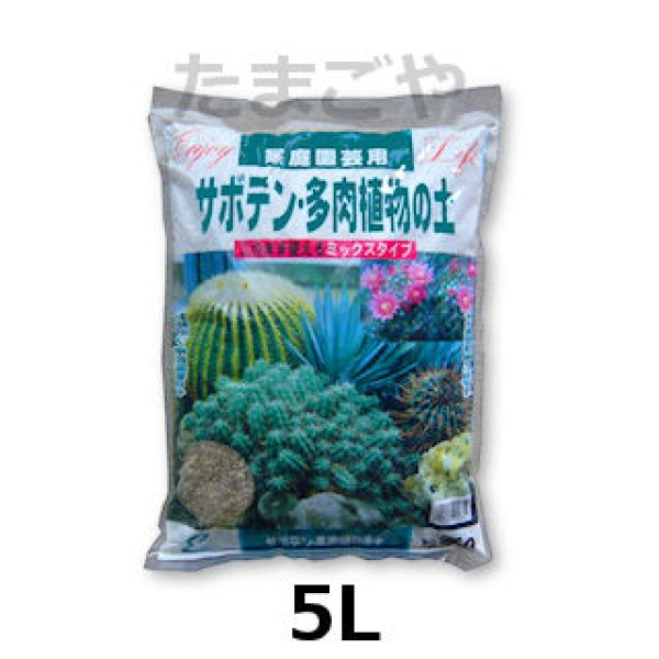 サボテン・多肉植物の土