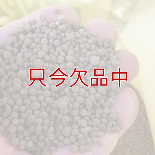 インドネシア産バットグアノ