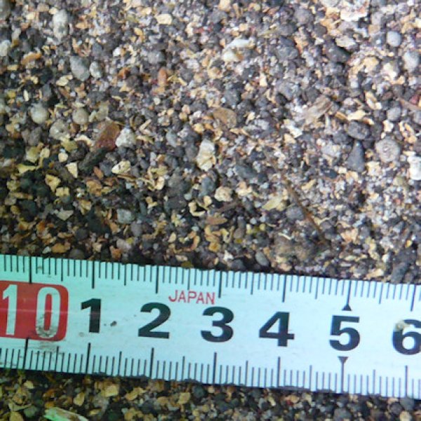 創美味(そうびみ)3号