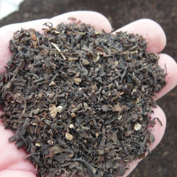 東南アジア産海藻粉末「海藻ミール(A飼料)」