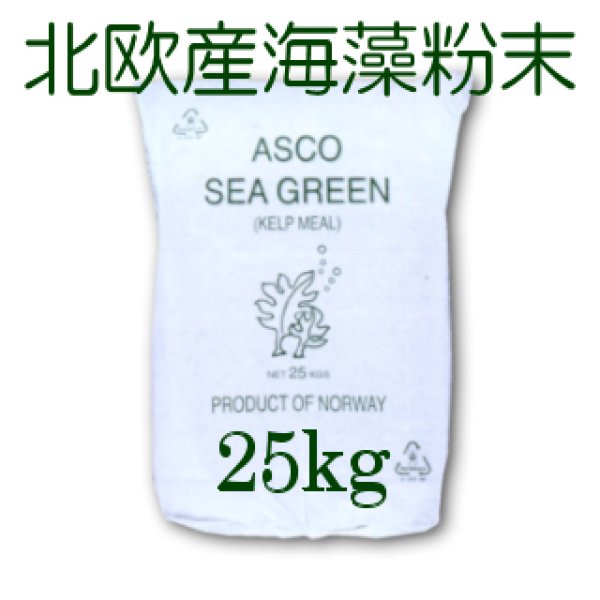 畜産・養魚用飼料】北欧産アスコ・シーグリーン（A飼料）【25kg