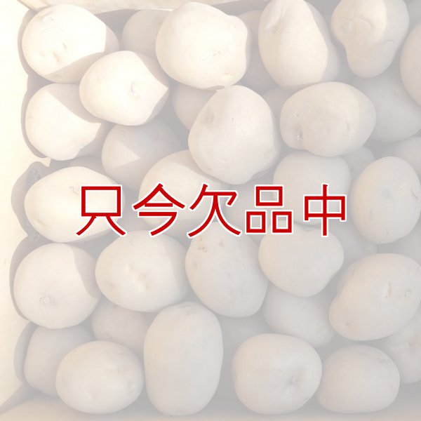 （馬鈴薯）種ジャガイモ【男爵薯】