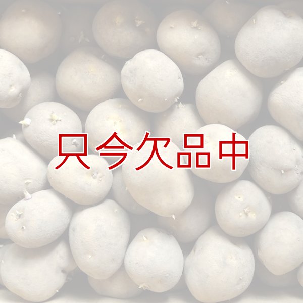 タネジャガイモ｜とうや
