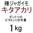 画像2: [予約受付中・発送は2026年1月以降]（馬鈴薯）種ジャガイモ【キタアカリ】【1kg】ダントツのビタミンC含有量※単独注文でお願いします。 (2)