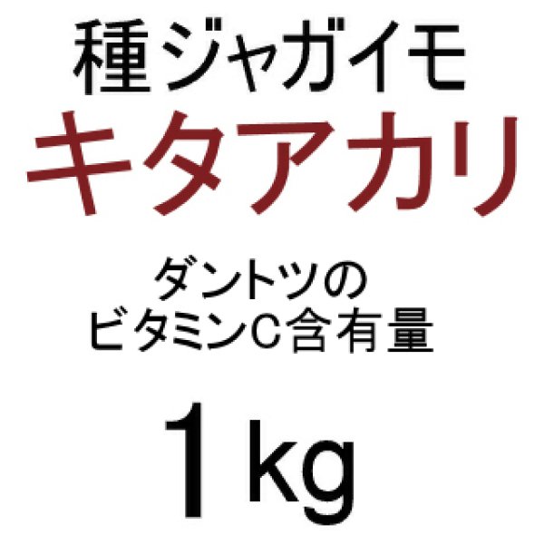 画像2: [予約受付中・発送は2026年1月以降]（馬鈴薯）種ジャガイモ【キタアカリ】【1kg】ダントツのビタミンC含有量※単独注文でお願いします。 (2)