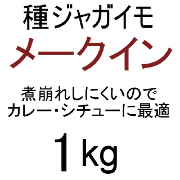 （馬鈴薯）種ジャガイモ【メークイン】