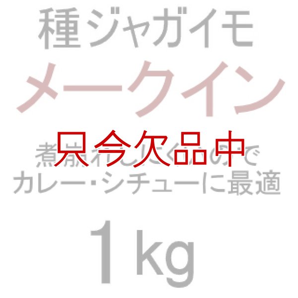 （馬鈴薯）種ジャガイモ【メークイン】