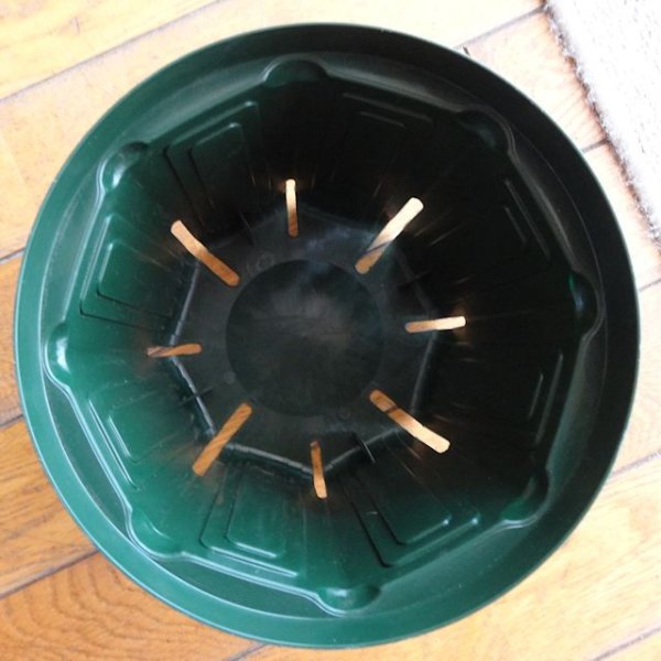 スリットポット|7号鉢|CSM-210