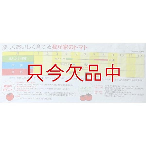 画像4: [値下げ]トマトの土《甘くて、美味しいトマトづくり》家庭園芸用培養土【14L】 (4)