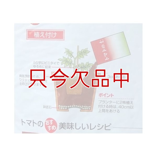 画像2: [値下げ]トマトの土《甘くて、美味しいトマトづくり》家庭園芸用培養土【14L】 (2)