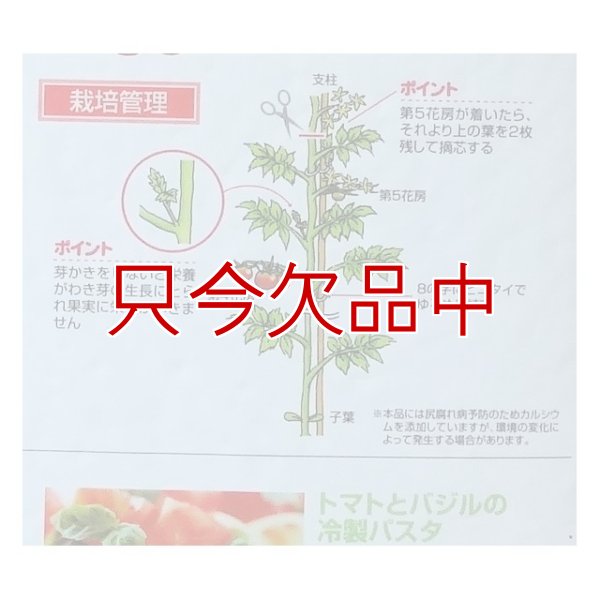 画像3: [値下げ]トマトの土《甘くて、美味しいトマトづくり》家庭園芸用培養土【14L】 (3)