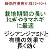 ネギ専用化成｜ねぎ・タマネギに最適な【粒状】高度化成肥料（N10-P12-K8）【15kg】